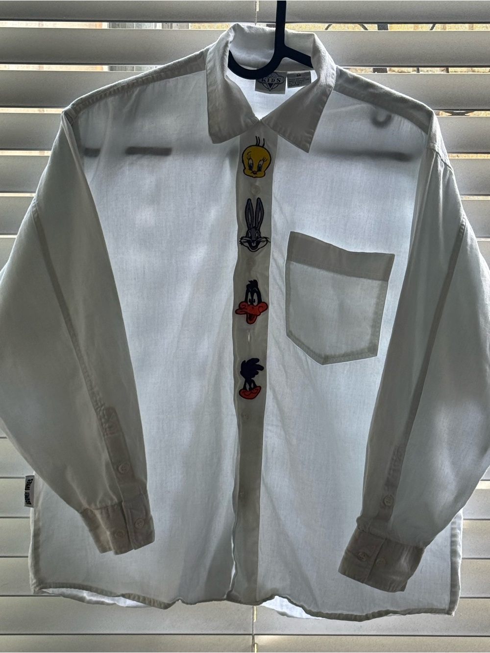 Looney Tunes Button-up Shirt